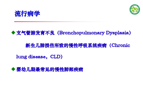 支气管肺发育不良ppt课件