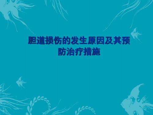 胆道损伤的发生原因及其预防治疗措施  ppt课件