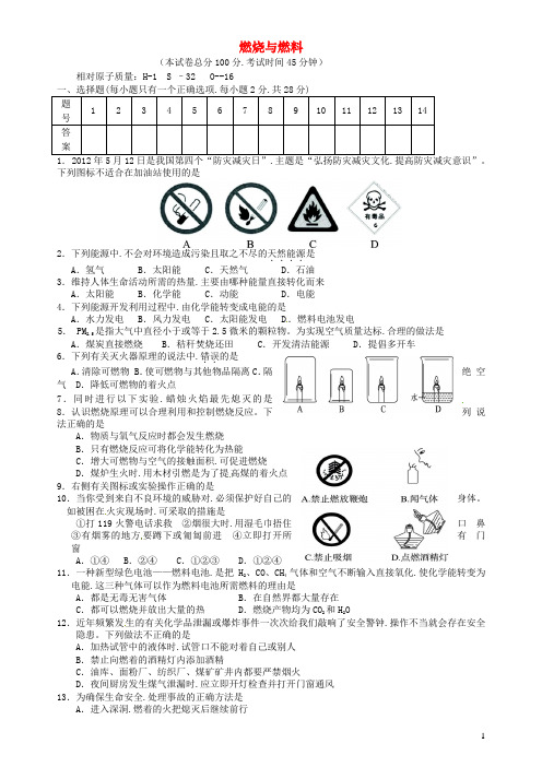 九年级化学上册第六单元燃烧和燃料检测题鲁教版