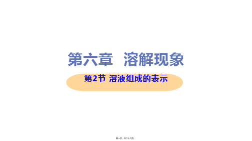 新沪教版九年级下册初中化学 6.2溶液组成的表示 教学课件