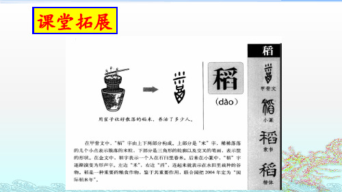 4《喜看稻菽千重浪》——记首届国家最高科技奖获得者袁隆平(共39张PPT)