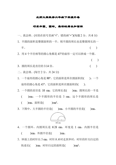 北师大版数学六年级下册提升卷 巧求半圆、圆环、扇形的周长和面积(含答案)