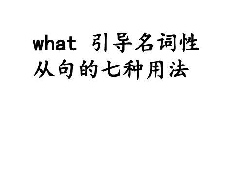 what引导名词性从句的用法