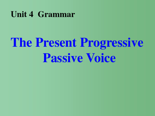 高中英语 Unit 4 Wildlife Protection P3 Grammar 新人教版必修2