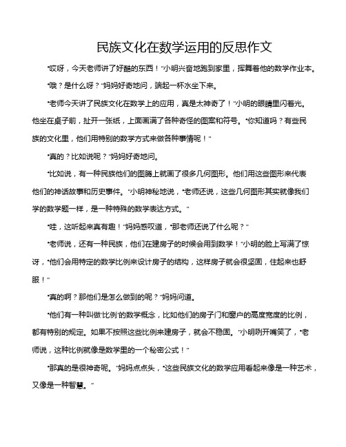 民族文化在数学运用的反思作文