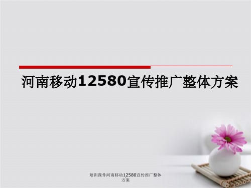 培训课件河南移动12580宣传推广整体方案