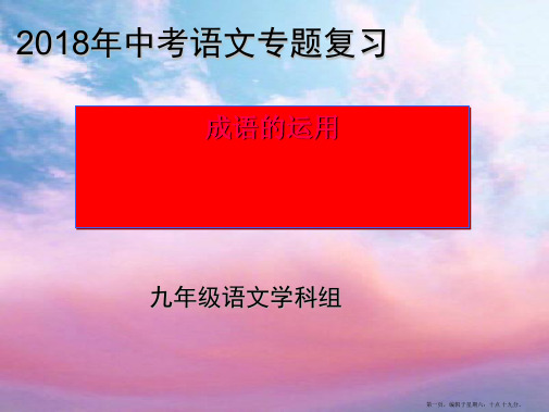 中考语文专题复习《成语运用》PPT课件