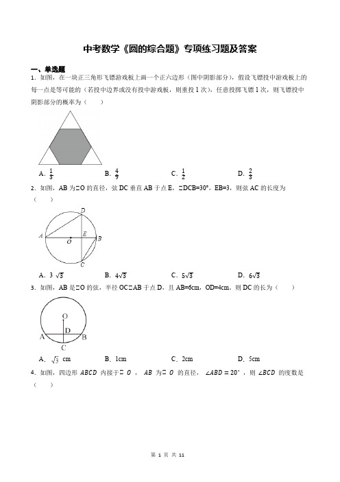 中考数学《圆的综合题》专项练习题及答案