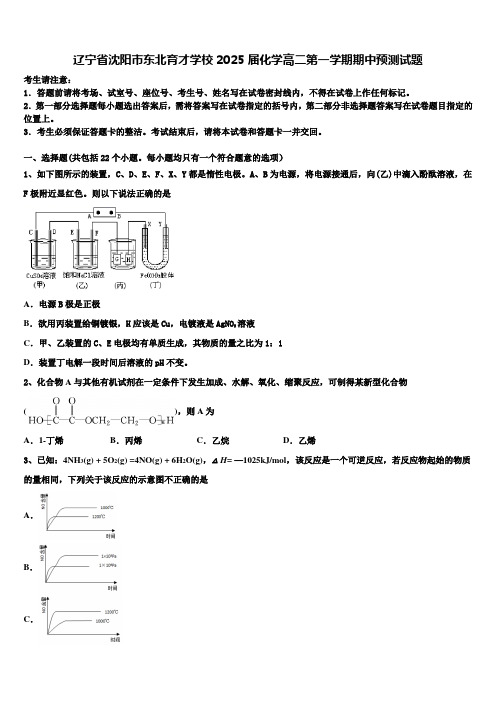 辽宁省沈阳市东北育才学校2025届化学高二第一学期期中预测试题含解析