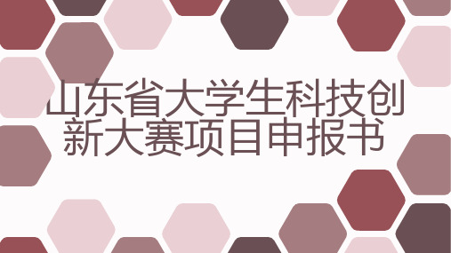 山东省大学生科技创新大赛项目申报书