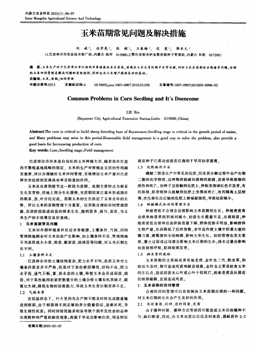 玉米苗期常见问题及解决措施