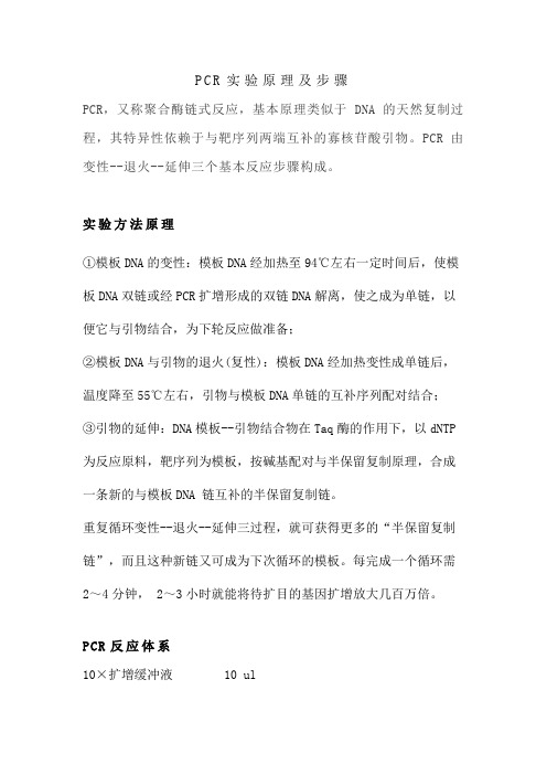 pcr扩增的原理和步骤以及常见问题