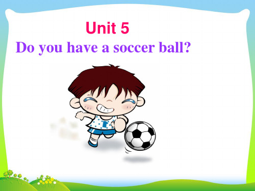 七年级英语上册 Unit 5 Do you have a soccer ball Section B课件1 人教新目标版.ppt