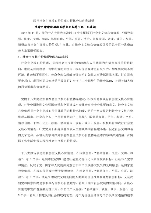 践行社会主义核心价值观心得体会与自我剖析