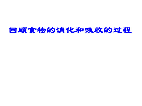 高二生物三大营养物质代谢上课PPT幻灯片