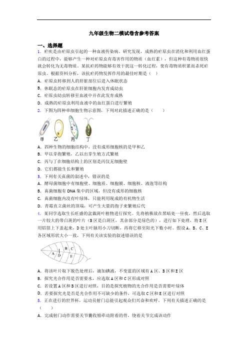 九年级生物二模试卷含参考答案