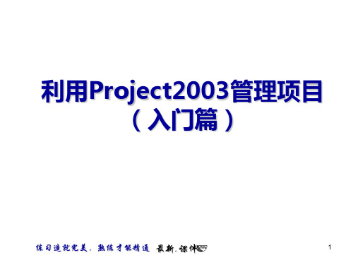 利用Project2003管理项目汇总.ppt