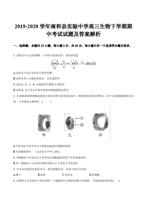 2019-2020学年南和县实验中学高三生物下学期期中考试试题及答案解析