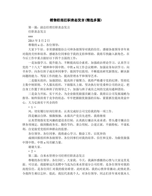 销售经理任职表态发言(精选多篇)