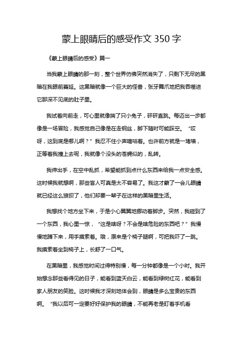 蒙上眼睛后的感受作文350字