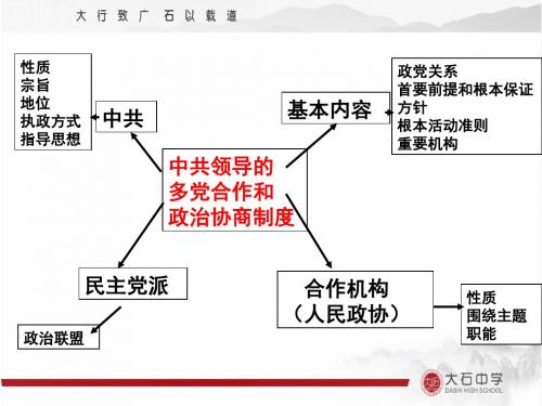 16版政治生活第7课一轮复习(飞扬之旗)