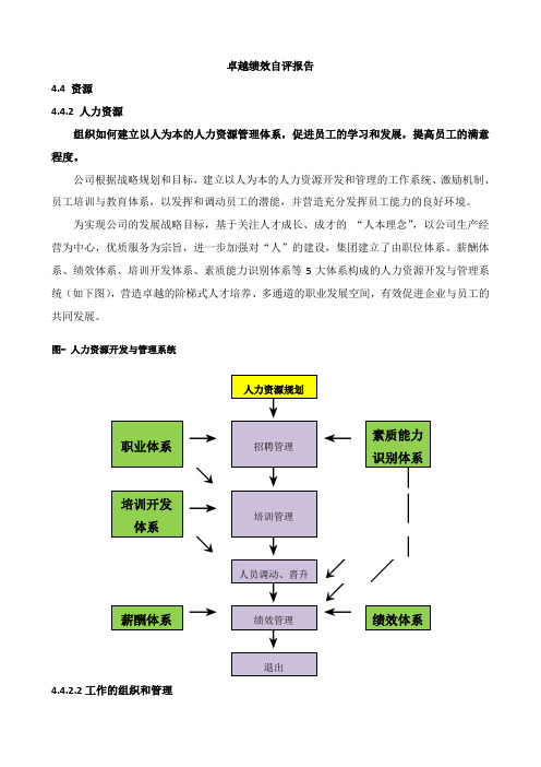 某公司卓越绩效自评报告(30页)