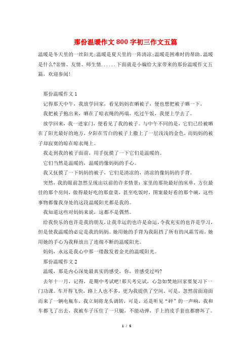 那份温暖作文800字初三作文五篇