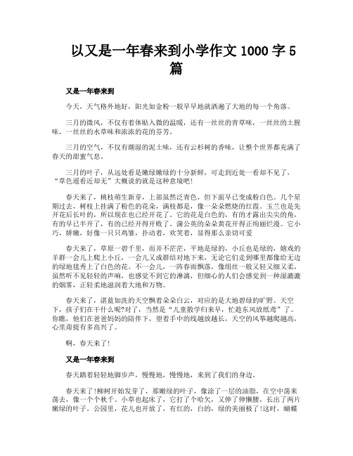 以又是一年春来到小学作文1000字5篇