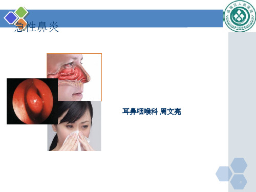 急性鼻炎(第9版)ppt课件