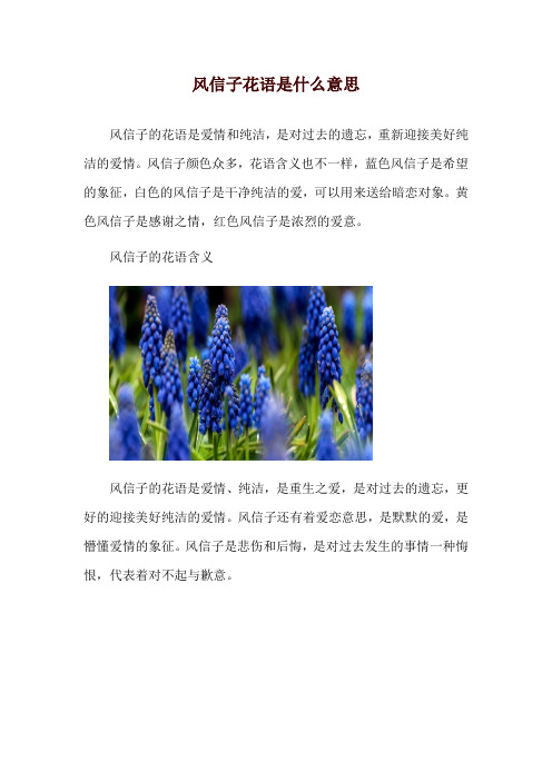 风信子花语是什么意思