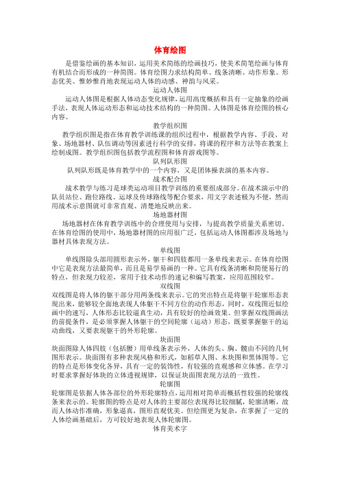 体育绘图