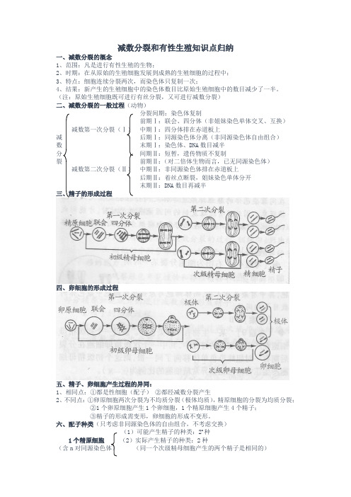 减数分裂知识点归纳范文