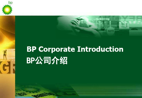 BP公司介绍