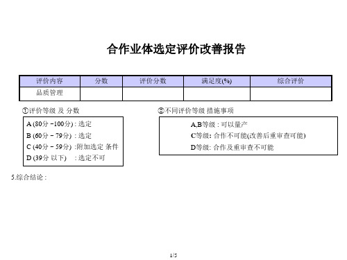 供应商审查改善报告