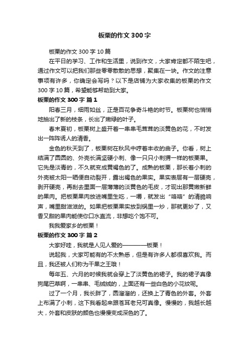 板栗的作文300字