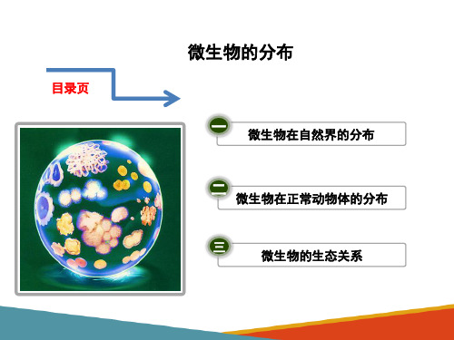 微生物的分布—微生物的分布(动物微生物课件)