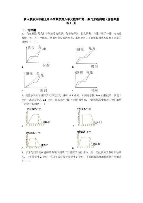 新人教版六年级上册小学数学第八单元数学广角—数与形检测题(含答案解析)(1)