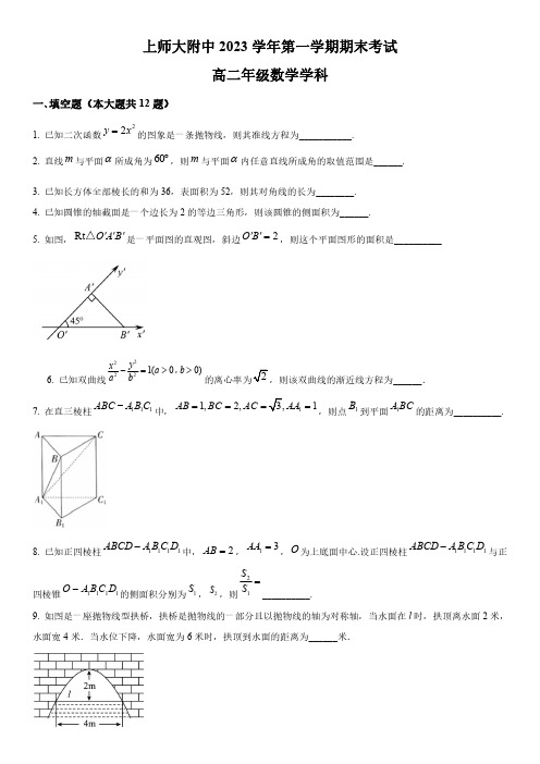 2024年上海师范大学附属中学高二上学期期末考试数学试卷含详解