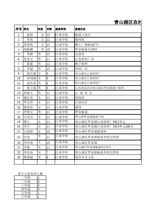 青山湖区农村留守儿童(青少年)登记表(已填)