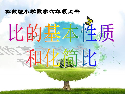 苏教版小学数学六年级上册比的基本性质和化简比