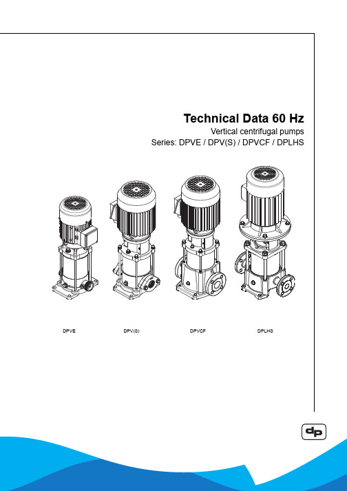 动力平衡机器公司60 Hz垂直中心力泵系列说明书