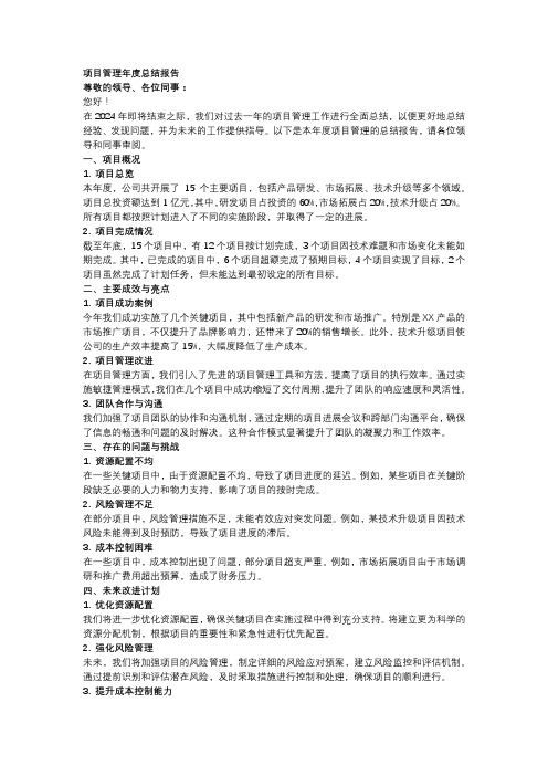 项目管理年度总结报告