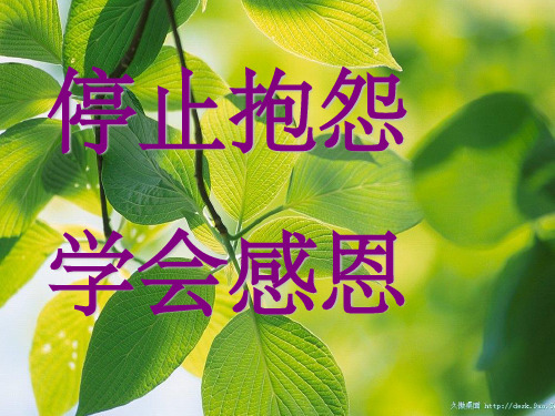 停止抱怨_学会感恩