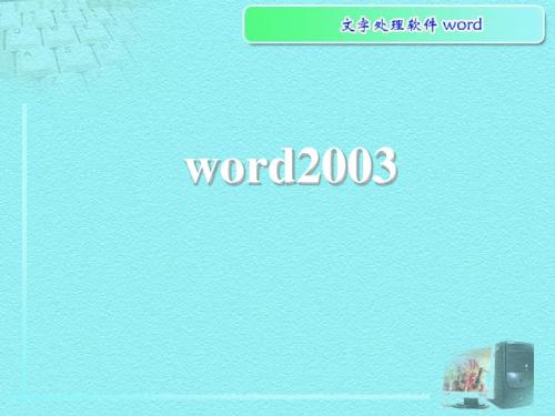 WORD 2003