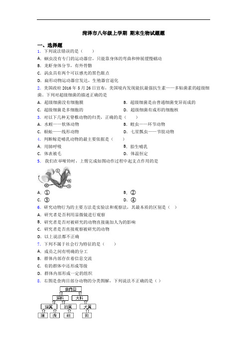 菏泽市八年级上学期 期末生物试题题