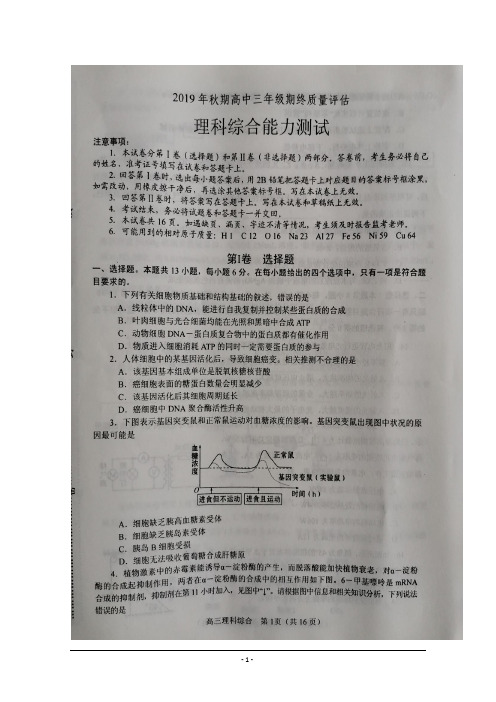 河南省南阳市2020届高三上学期期终质量评估理科综合试题 扫描版含答案