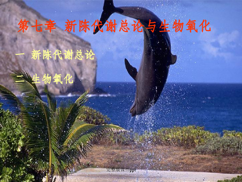 陈代谢总论与生物氧化