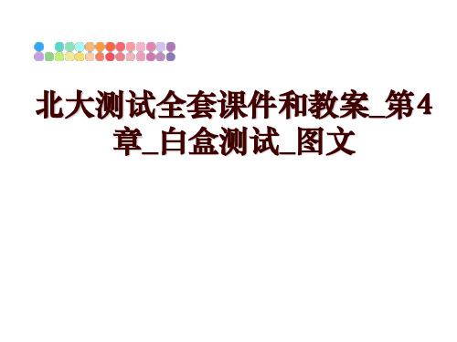 最新北大测试全套课件和教案_第4章_白盒测试_图文幻灯片课件