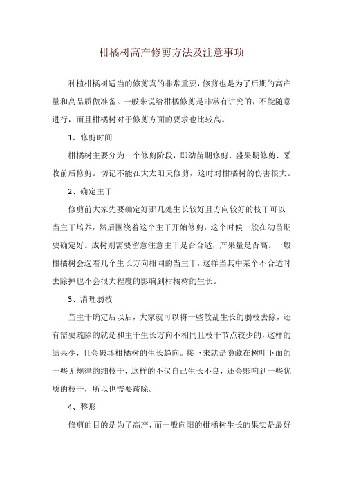 柑橘树高产修剪方法及注意事项