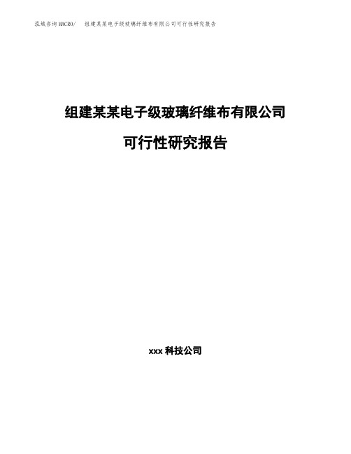 组建某某电子级玻璃纤维布有限公司可行性研究报告 (3)